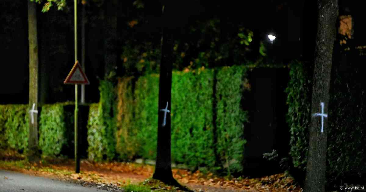 Gemeente Oisterwijk wil 96 bomen kappen voor nieuw fietspad, tegenstanders beraden zich op stappen