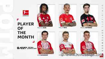 Jetzt abstimmen! Wer wird Spieler des Monats September?