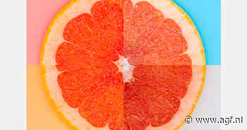 Spaanse grapefruitoogst +8%