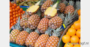 Coke tussen ananas en bananen in haven van Antwerpen aangetroffen