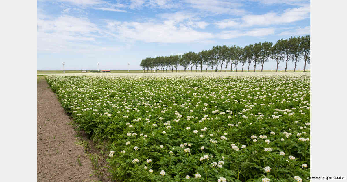 Biologische landbouw naar voren geschoven in debat over voedselzekerheid