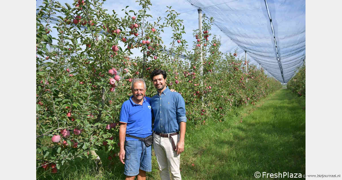 Italiaans familiebedrijf bouwt aan merk voor biologische appels uit zoutvlakte
