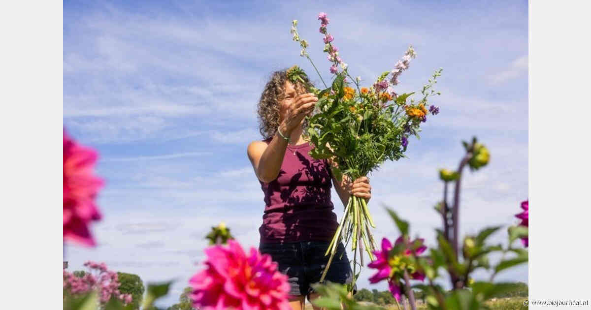 Wilderful wil biologische bloemen via meer lokale bloemisten beschikbaar maken