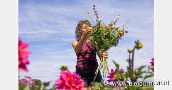 Wilderful wil biologische bloemen via meer lokale bloemisten beschikbaar maken