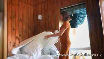 Spiders will stay out of your bedroom if you make 2 minute change to your bedding