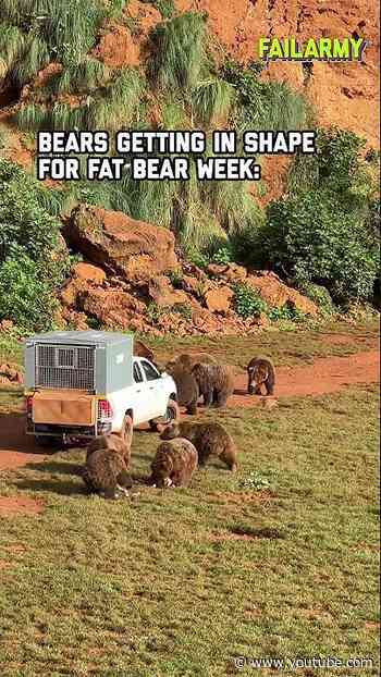 Am I...training for Fat Bear Week? #fatbearweek #icecream #diet #bears #animalmemes