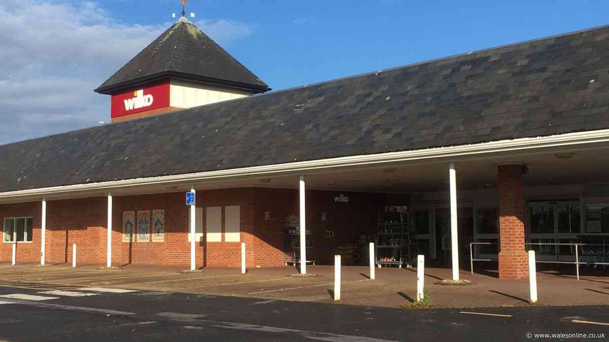 Trampoline company boss says plan for Carmarthen Wilko site was snubbed