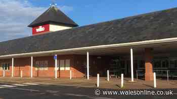 Trampoline company boss says plan for Carmarthen Wilko site was snubbed