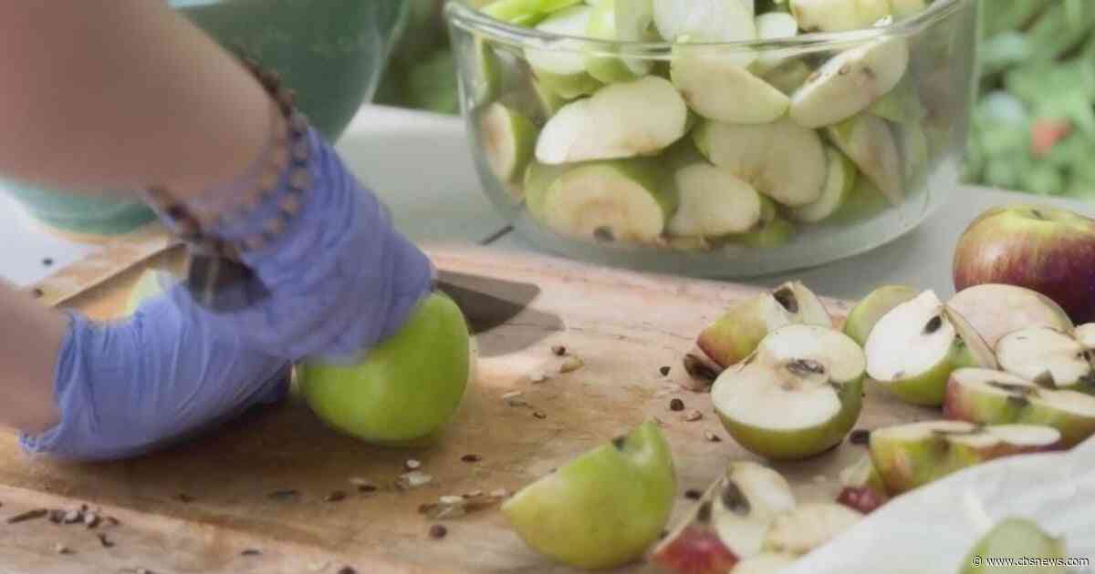 Atlanta students welcome fall with old-fashioned apple cider pressing
