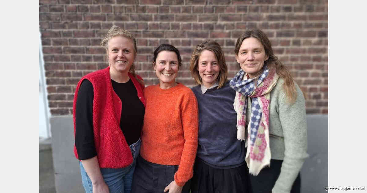 Vier Vlaamse boerinnen over samenwerken en de 'onderstroom' van het boerenbedrijf