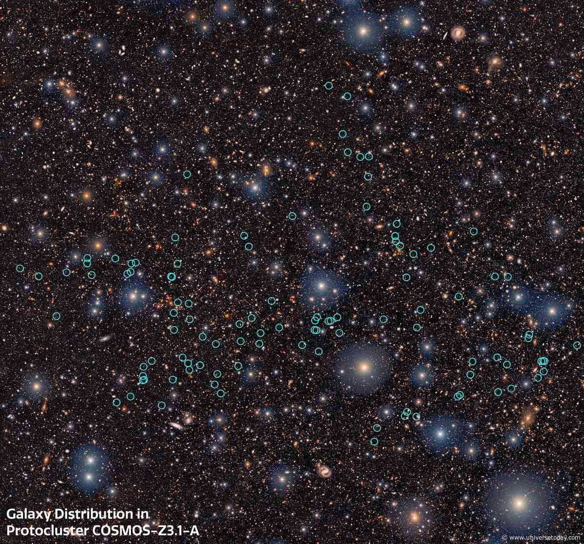 A Rare, Distant Clump of Early Galaxies Reveals Ancient Cosmic Secrets