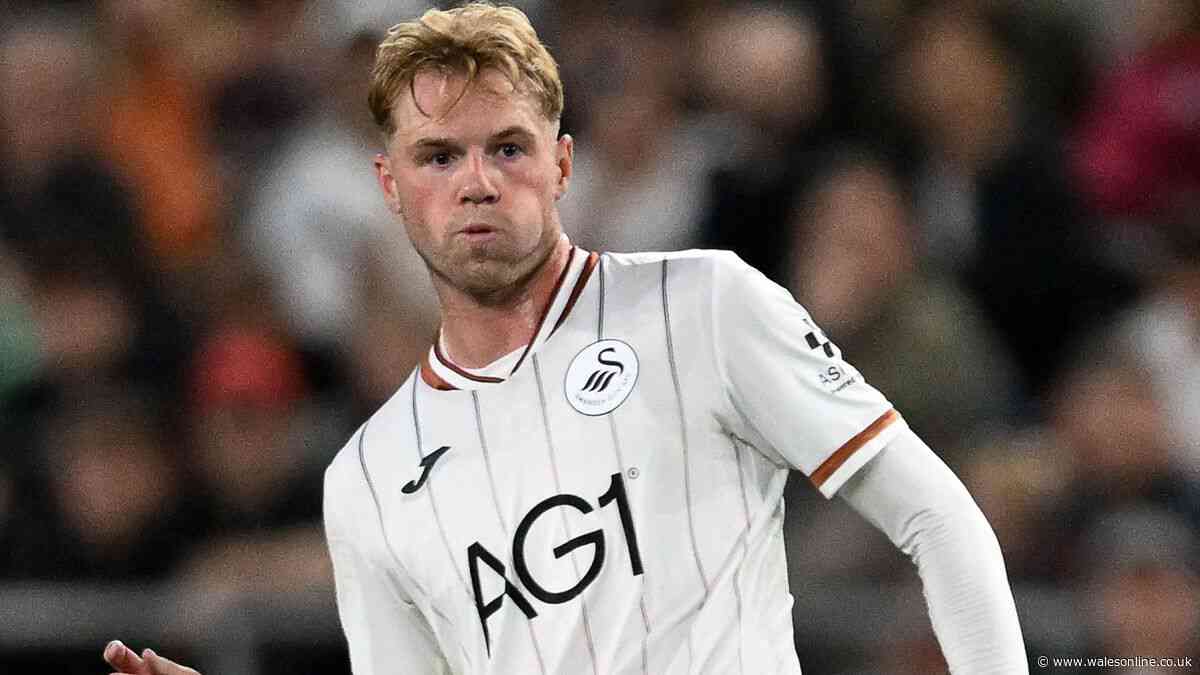 Swansea City's new signings ranked as one man takes everyone by surprise