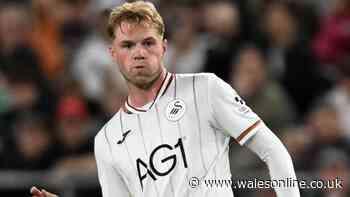 Swansea City's new signings ranked as one man takes everyone by surprise