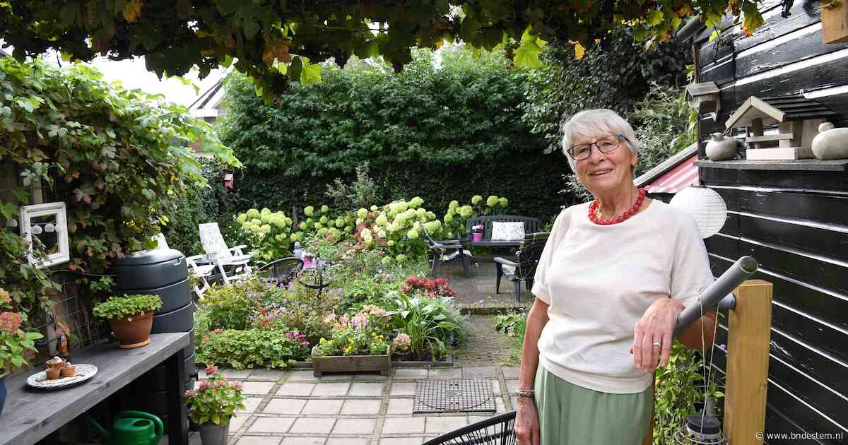 In de fleurige tuin van Nelly (80) is haar overleden echtgenoot Piet nooit ver weg