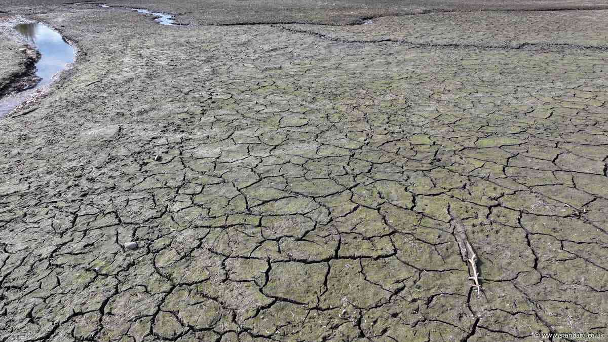 'Godzilla' El Niño predicted to cause 451,000 more heat deaths: Which countries will suffer most?
