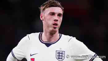 Stars DO care about playing for England: Jarrad Branthwaite defends Declan Rice, Cole Palmer and Co after five dropouts cast shadow over start of Thomas Tuchel's post-World Cup mission