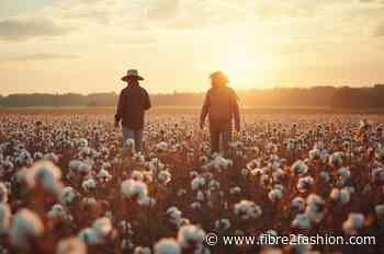 ICE cotton eases after sharp rally as export demand weighs