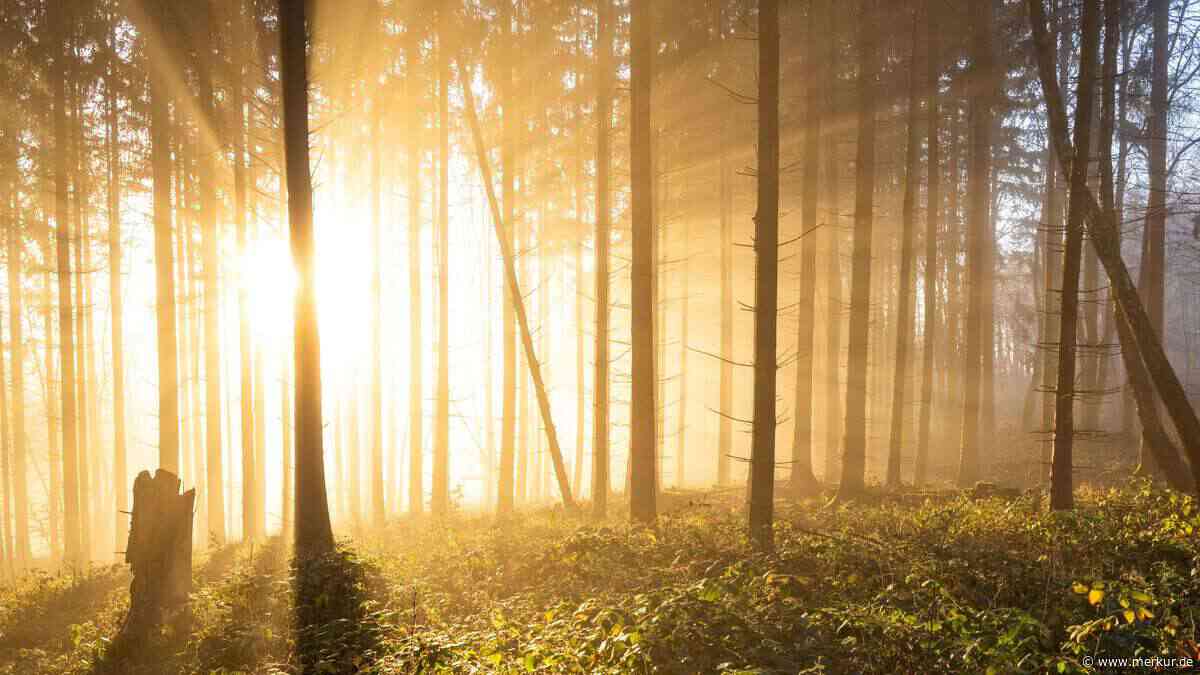 Statt Herbstregen: Blockadehoch schiebt Sommerwärme bis 30 Grad nach Deutschland – noch im Oktober