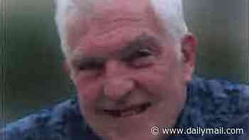 Retired engineer, 82, was stabbed to death as he sat in his own front garden by mentally-ill neighbour with history of drug abuse