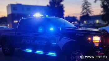 Police allege man, 61, targeted, sexually assaulted at-risk women in Sarnia-area