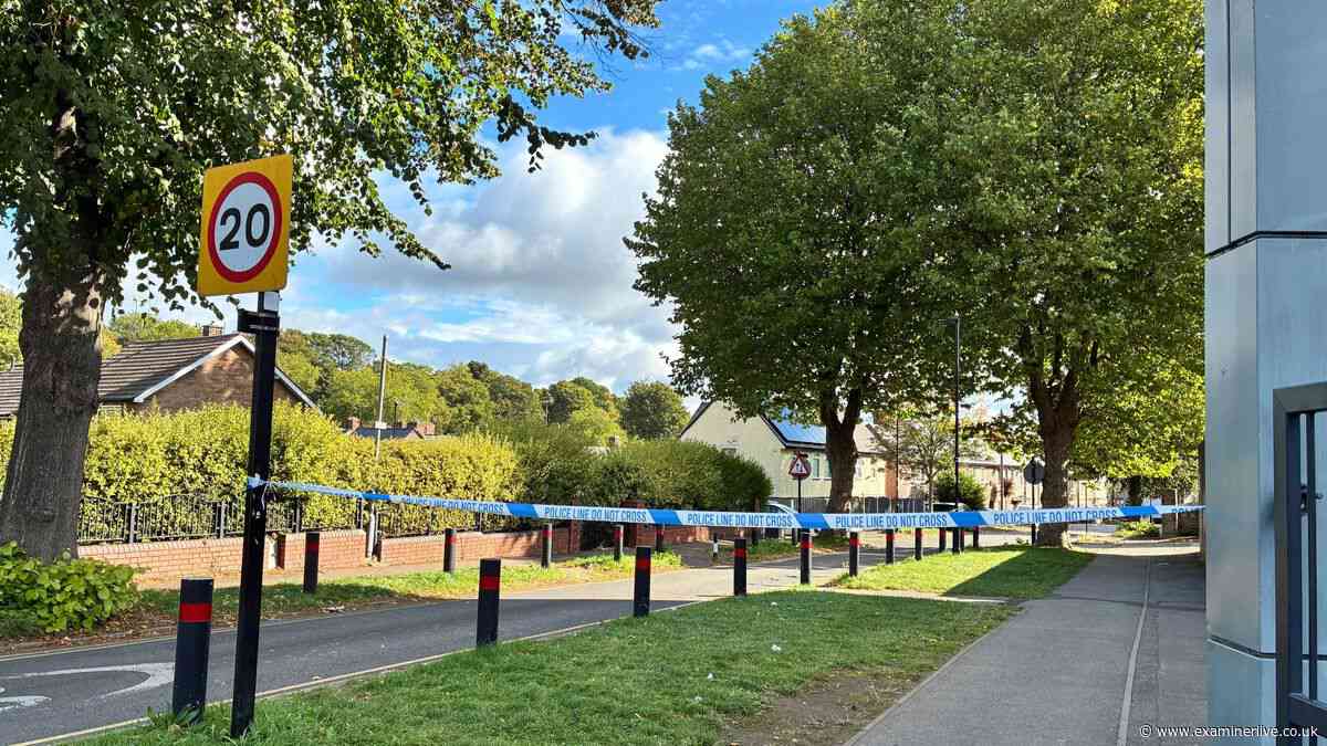 Sheffield shots fired from 'deadly weapon' as bullets hit homes - police statement in full