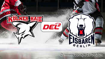 Kölner Haie gegen Eisbären Berlin: DEL live und gratis sehen im Stream?