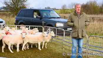 'Theft' of 11 sheep from Jeremy Clarkson's Diddly Squat Farm was actually a miscount by staff, police confirm