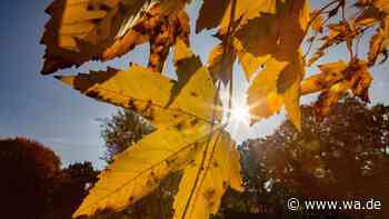 Von Spätsommer bis zum ersten Frost – Herbstwetter in NRW mit vielen Überraschungen