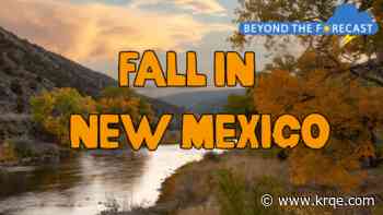 New Mexico's warming Meteorological Falls; Beyond the Forecast