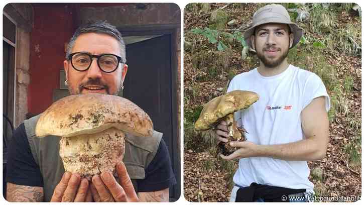 Funghi record: è gara tra Liguria e Toscana per la regione dove è stato raccolto il porcino più grosso