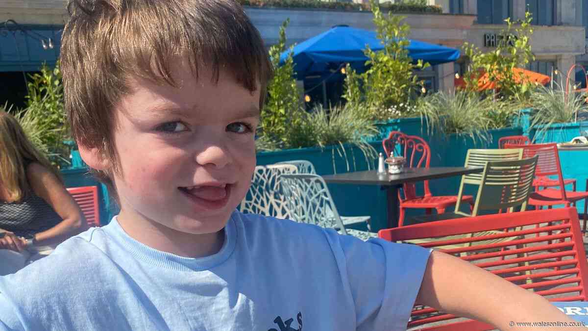Gene therapy approved in US to save Swansea five-year-old but it comes at a huge cost