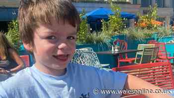 Gene therapy approved in US to save Swansea five-year-old but it comes at a huge cost