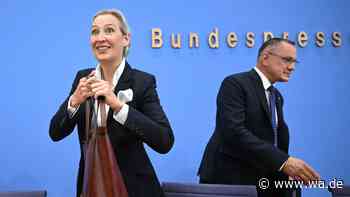 AfD-Wahlsiege beunruhigen das Ausland: Ex-Botschafter warnt – „Habe es selbst erlebt“