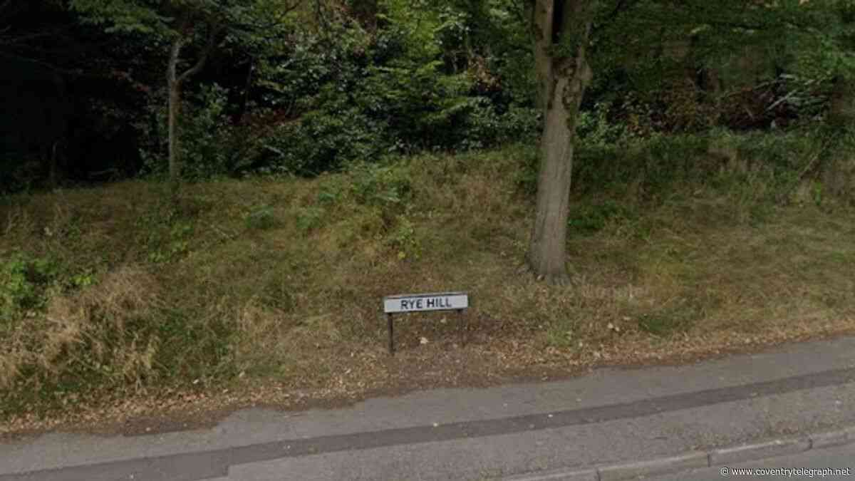Three arrested after robbers tried to snatch jewellery from woman's wrist