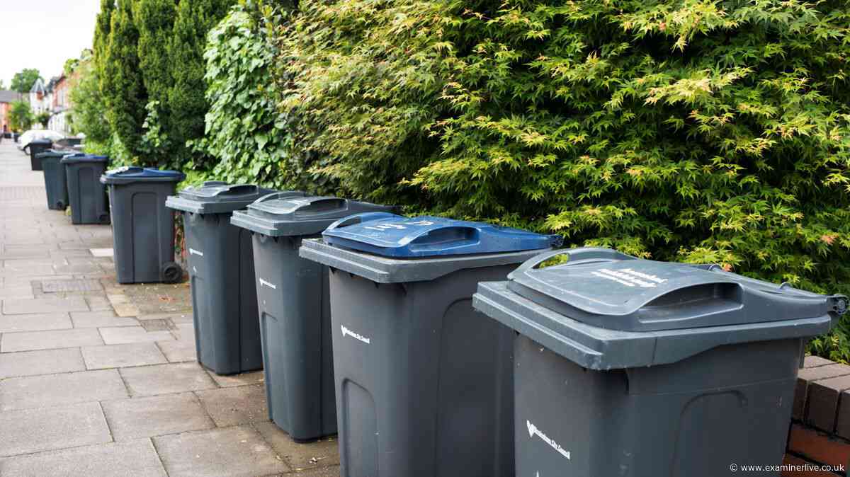 10 common household items people have no idea you should never bin