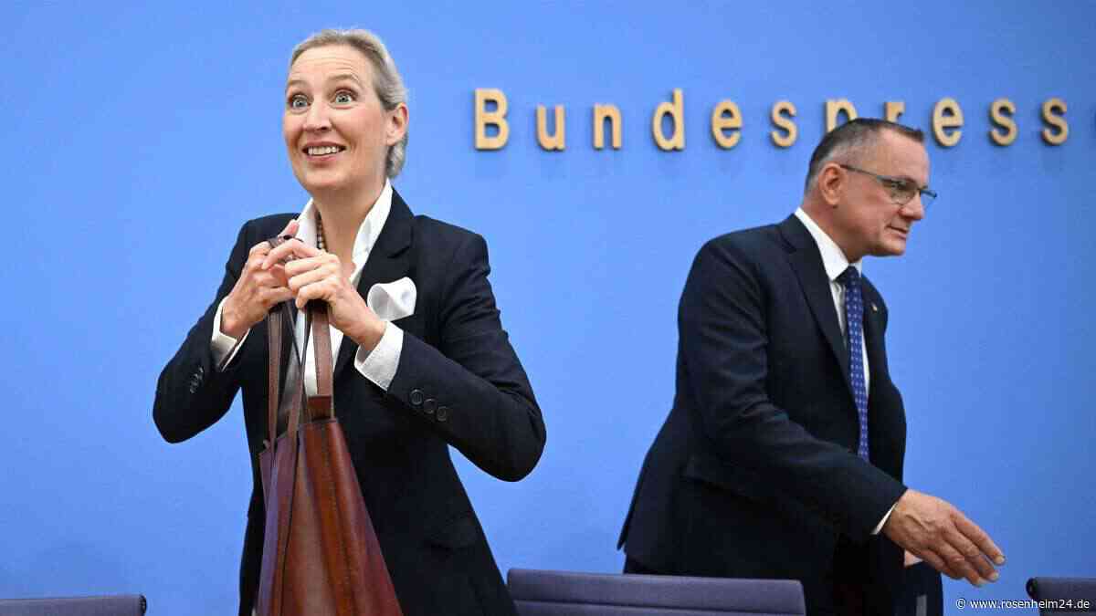 AfD-Wahlsiege beunruhigen das Ausland: Ex-Botschafter warnt – „Habe es selbst erlebt“