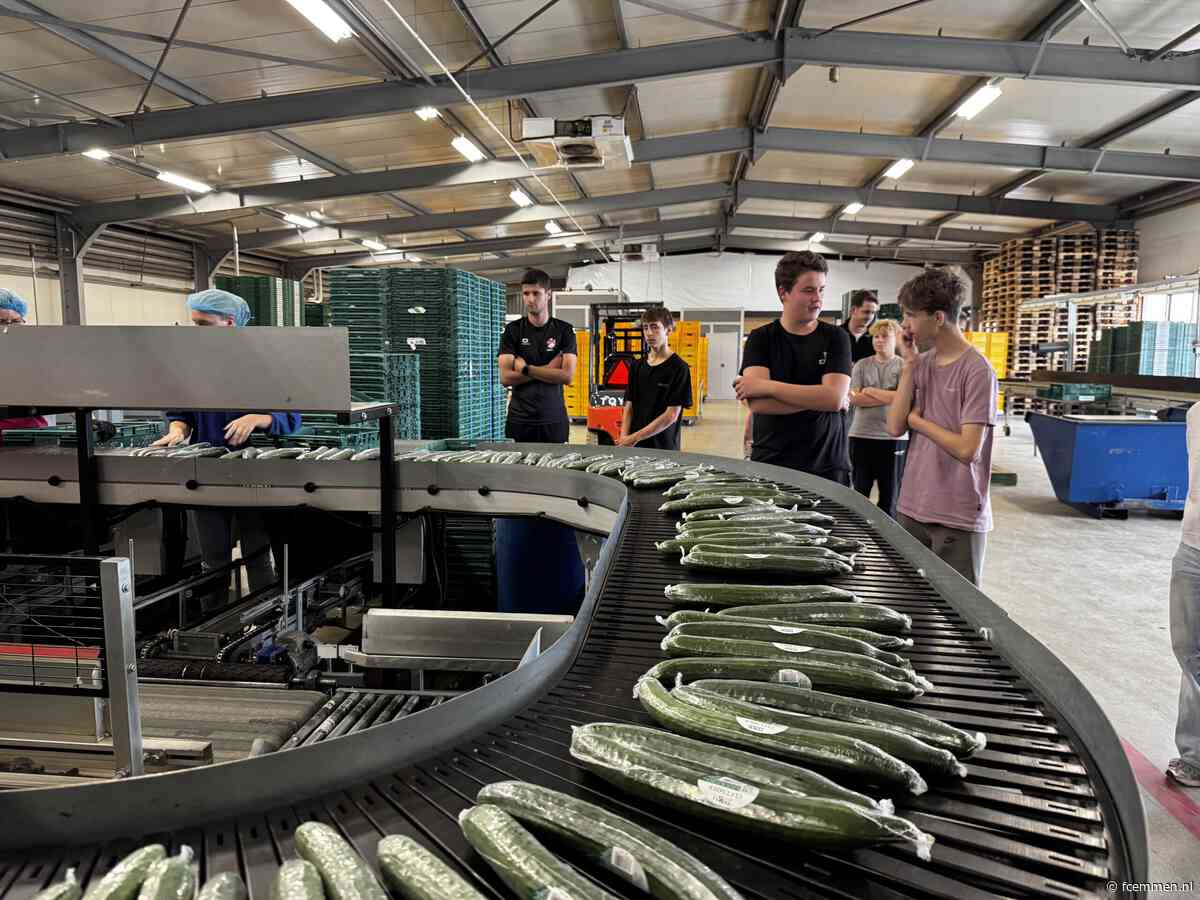 Talenten van de Toekomst maken kennis met werk in glastuinbouw bij Polman BV