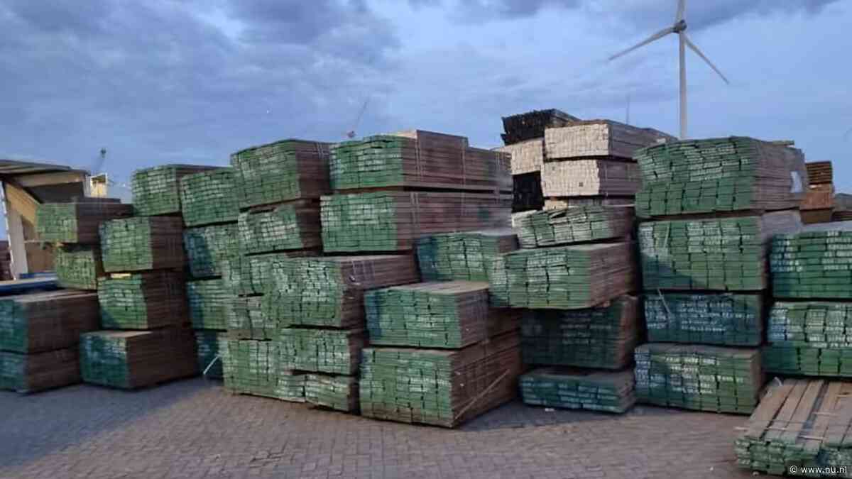 375 ton 'fout' hout in beslag genomen vanwege mogelijk illegale kap