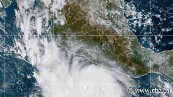 Hurricane Polo in the Pacific Ocean considered 'one of the strongest storms ever'
