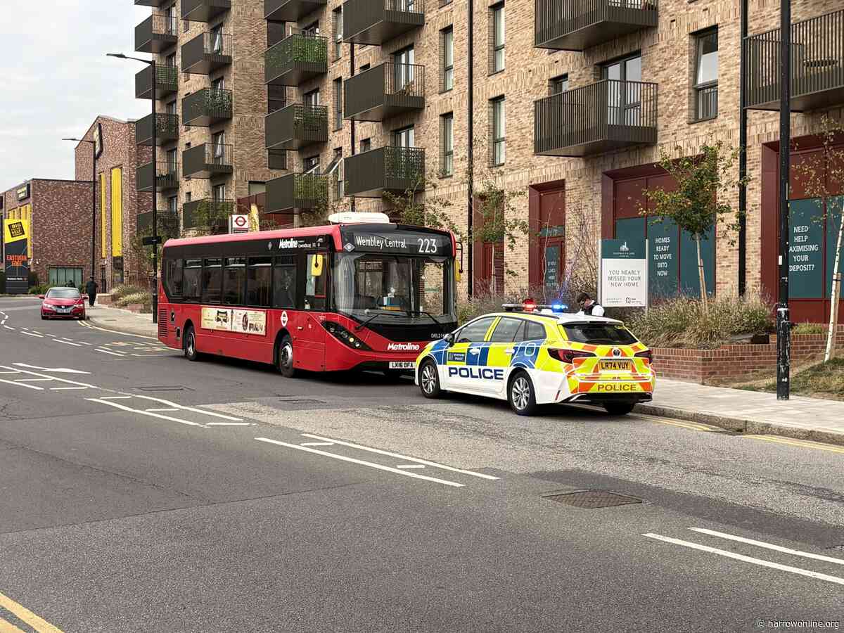 Man smashes bus windows and attempts to attack driver on Harrow View