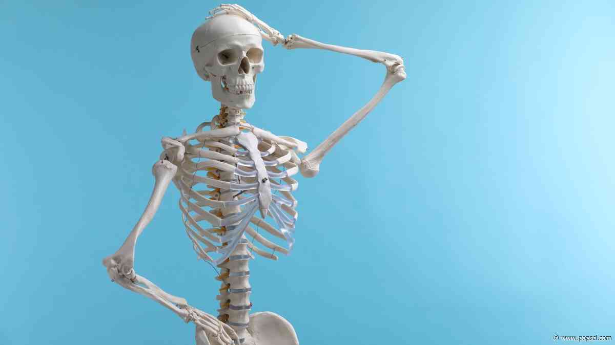 This man died more than 700 years ago—so why does he look like he got hit by a car?