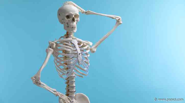 This man died more than 700 years ago—so why does he look like he got hit by a car?