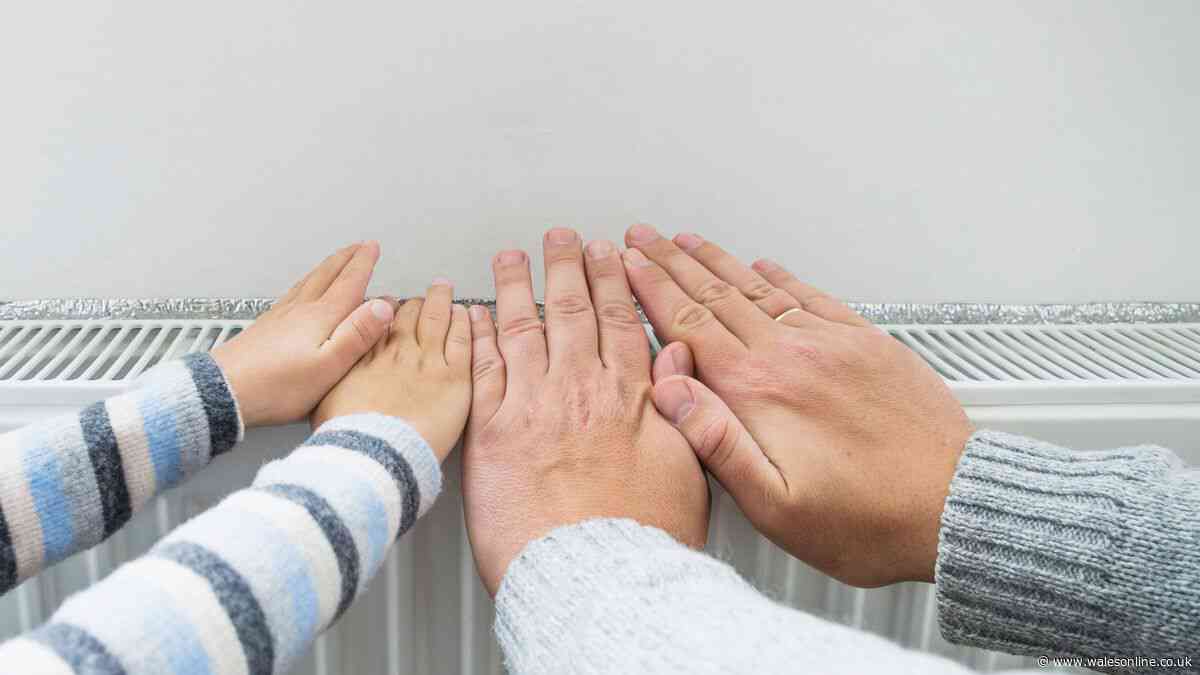 Welsh households urged to do 5-minute task in September to improve radiator efficiency