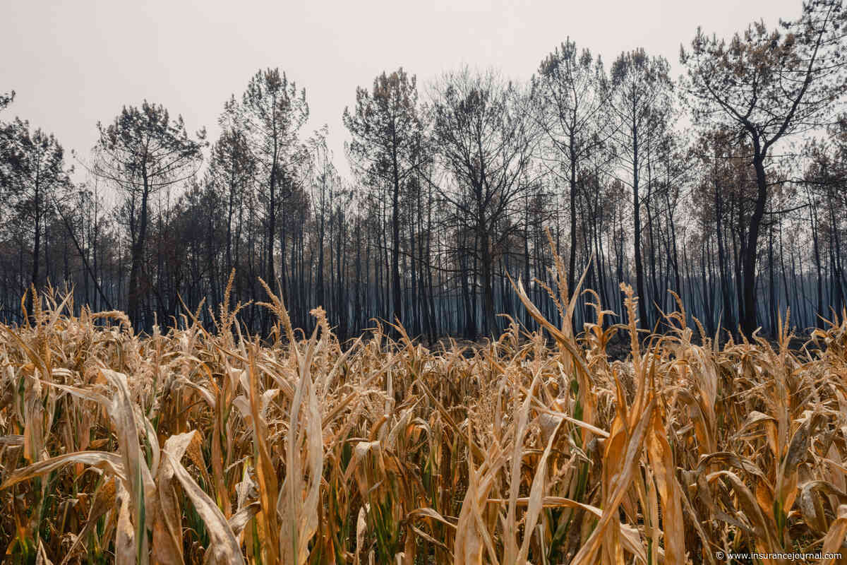 Europe Seen Spending More Than $500 Billion to Adapt to Climate Change