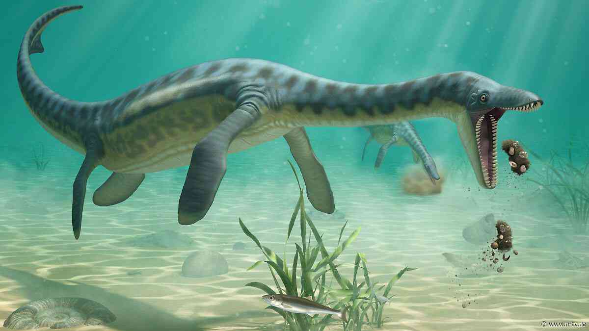 Ran an die Küste und losgewürgt: Forscher entdeckt versteinertes Erbrochenes von Urechsen