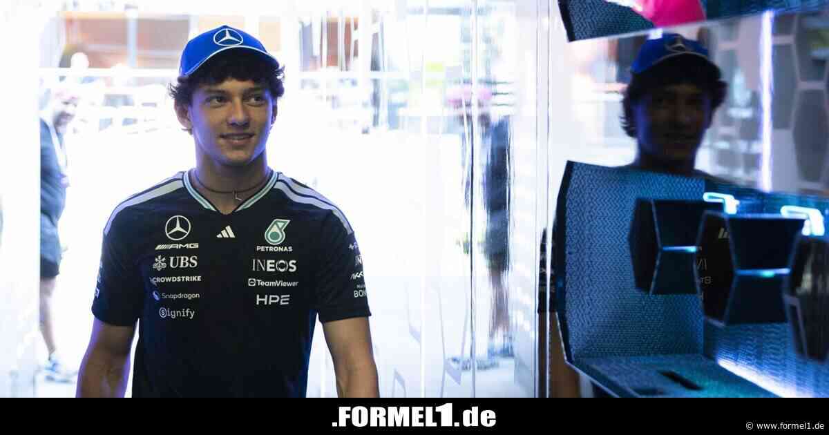 Antonelli unter Druck? Formel-1-Experte sieht "absolut keinerlei Anzeichen"