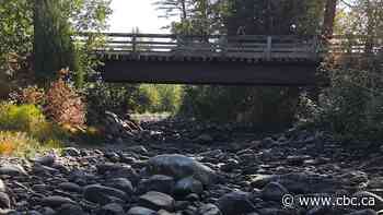 First Nations in B.C. Interior feel 'fear and scarcity' amidst drought-stricken salmon run