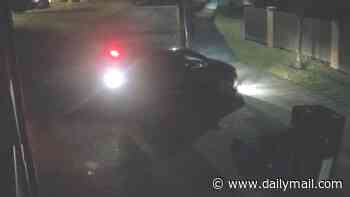 Moment pair of thieves steal animal ambulance before repeatedly smashing it into corner shop in early morning raid
