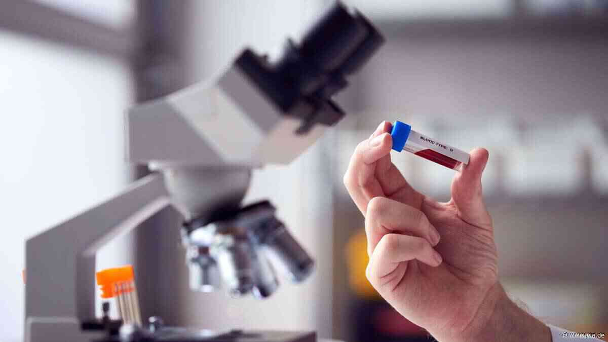 KI-Bluttest erkennt über 50 Krebsarten – auch solche, für die es keine Früherkennung gibt