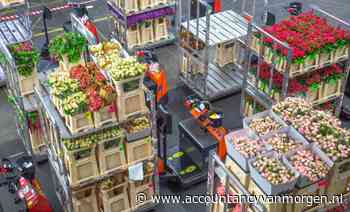Royal FloraHolland moet boete kweker wegens te late accountantsverklaring terugbetalen